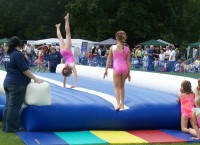 Treasure Gymnastics Team   100 5764