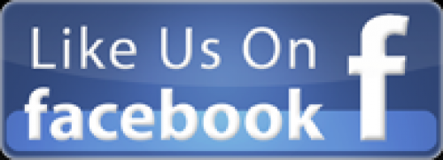 Like Us Like Us