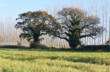 Countryside    CNV00022
