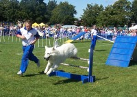 Solent Dog Display Team    100 5774_001