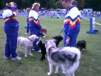 Stubbington Fayre Dogs waiting to perform AUGUST 2011 034 Stubbington Fayre Dogs waiting to perform AUGUST 2011 034