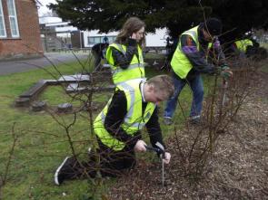 Baycroft School planting project