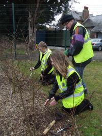 Baycroft Planting