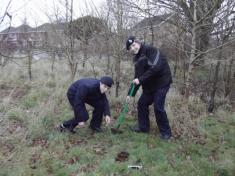 PLANTING TREES AT SEAFIELD PARK FEB 2012